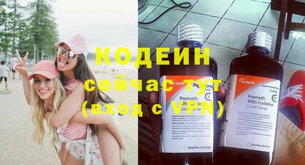 спиды Дмитриев