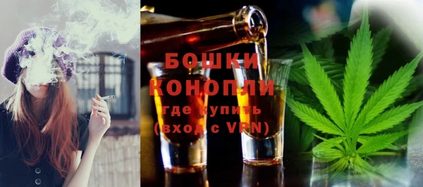 спиды Дмитриев