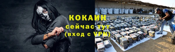 спиды Дмитриев