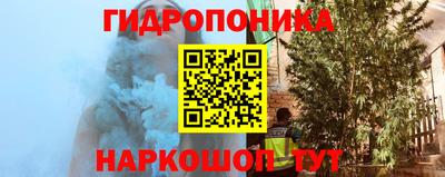 шишки Малоярославец