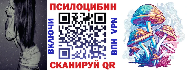 хочу   Псков  Псилоцибиновые грибы Psilocybe 