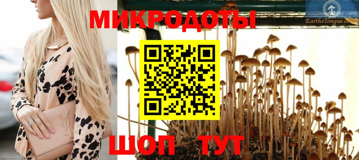 Псилоцибиновые грибы GOLDEN TEACHER Псков