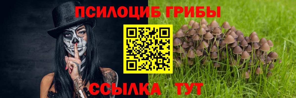 Псилоцибиновые грибы мухоморы  Галлюциногенные грибы GOLDEN TEACHER  Псков  Вход с VPN 